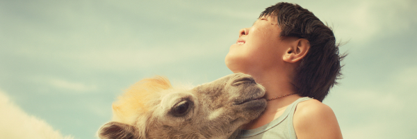 600.200.podniebny.wielblad